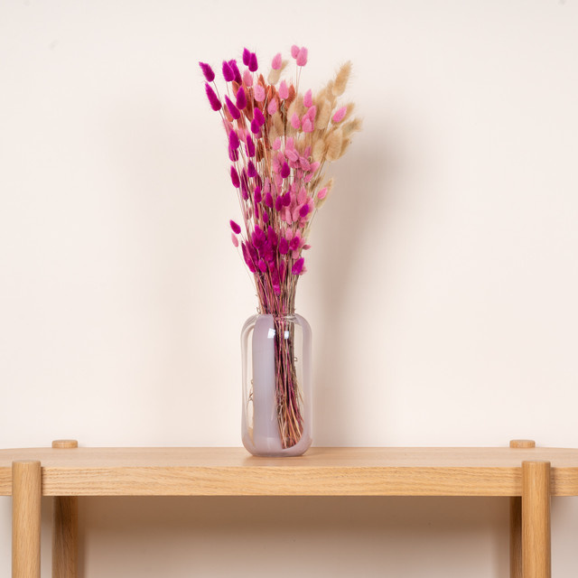 Trockenblumenbund Lagurus von BLUME2000 in Pink und Mixed für deine Frühlingsdekoration - Bild 1