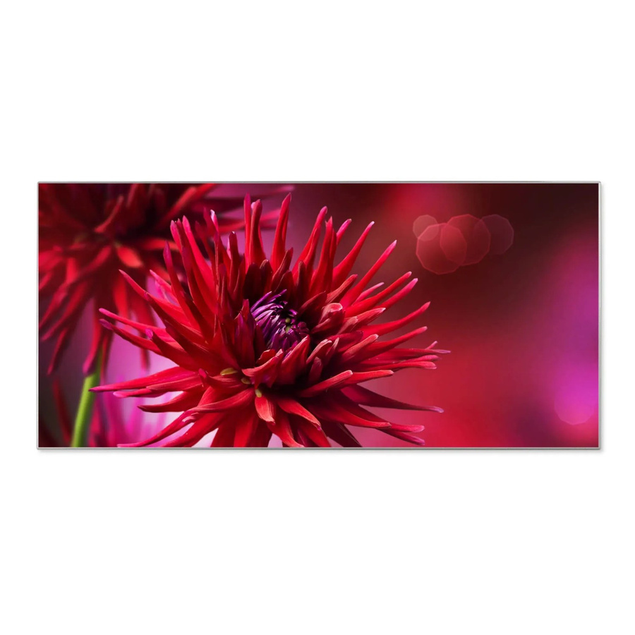 Banjado Magnettafel aus Metall in Silber mit Motiv Rote Dahlien, B/H: 78 x 37 cm, inklusive 4 Magnete - Bild 2
