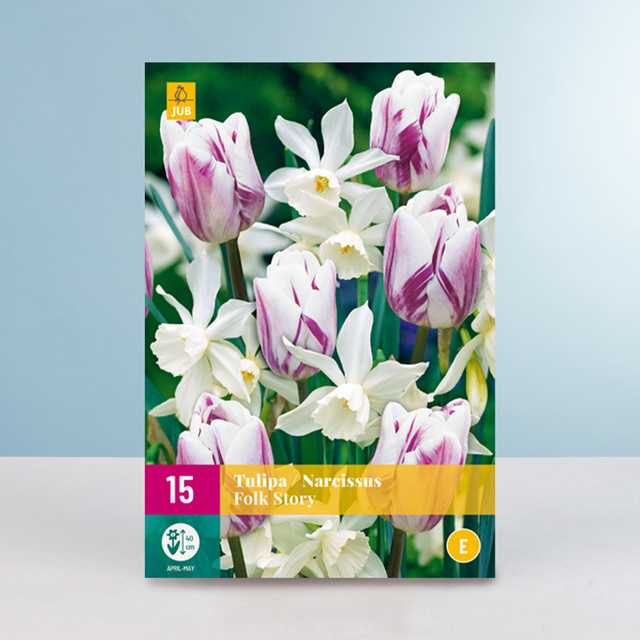 Tulpen und Narzissen Folk Story Mix Zwiebeln von BLUME2000 mit 15 Stück - Bild 1
