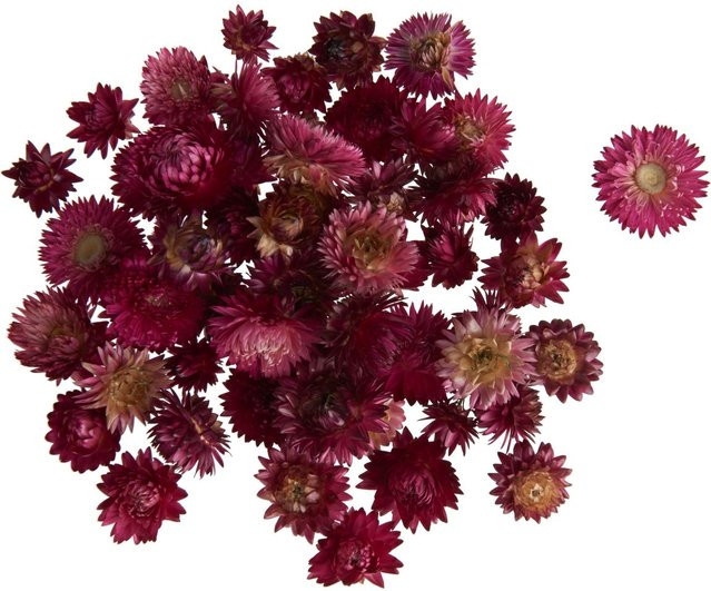 VBS Getrocknete Strohblumenköpfe in Rosa aus Naturmaterial - Bild 1