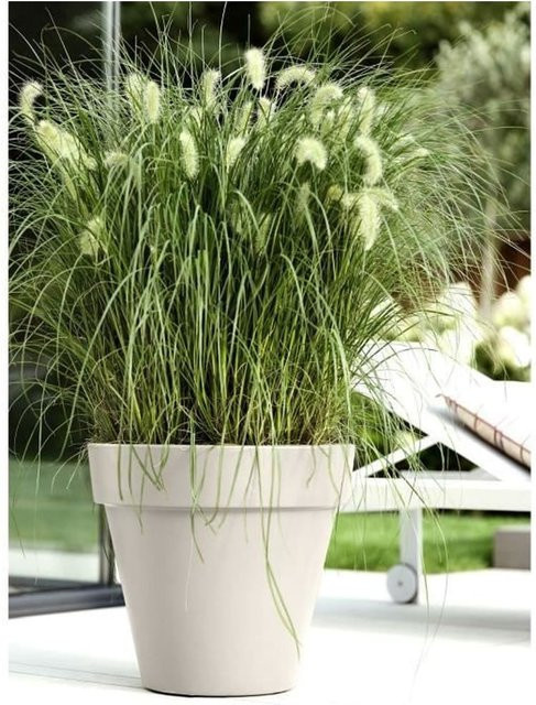 ELHO GIVE Room To Nature Blumentopf Pure Round 40 in Weiß für Innen- und Außenbereich, Durchmesser: 39 cm, Höhe: 36 cm - Bild 1