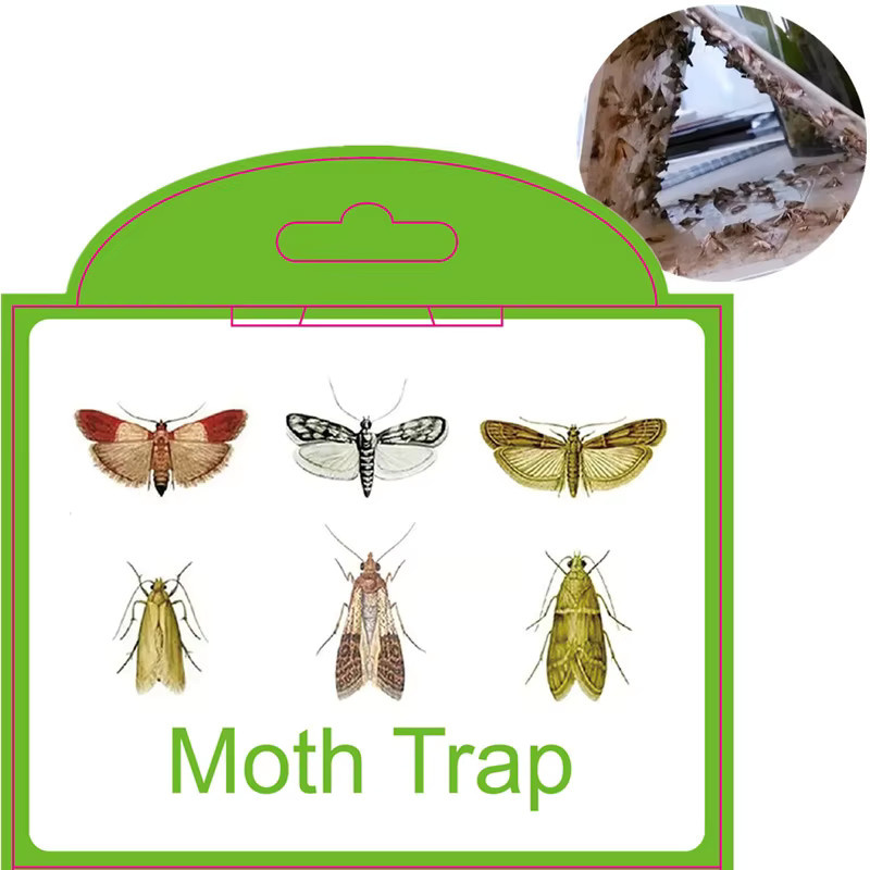 SilentKing Mottenfallen Set mit Pheromon-Mottenstickern zur Schädlingsbekämpfung in Weiß, 6 Stück für Vorratskammer, Küche, Kleidung und Garten - Bild 3