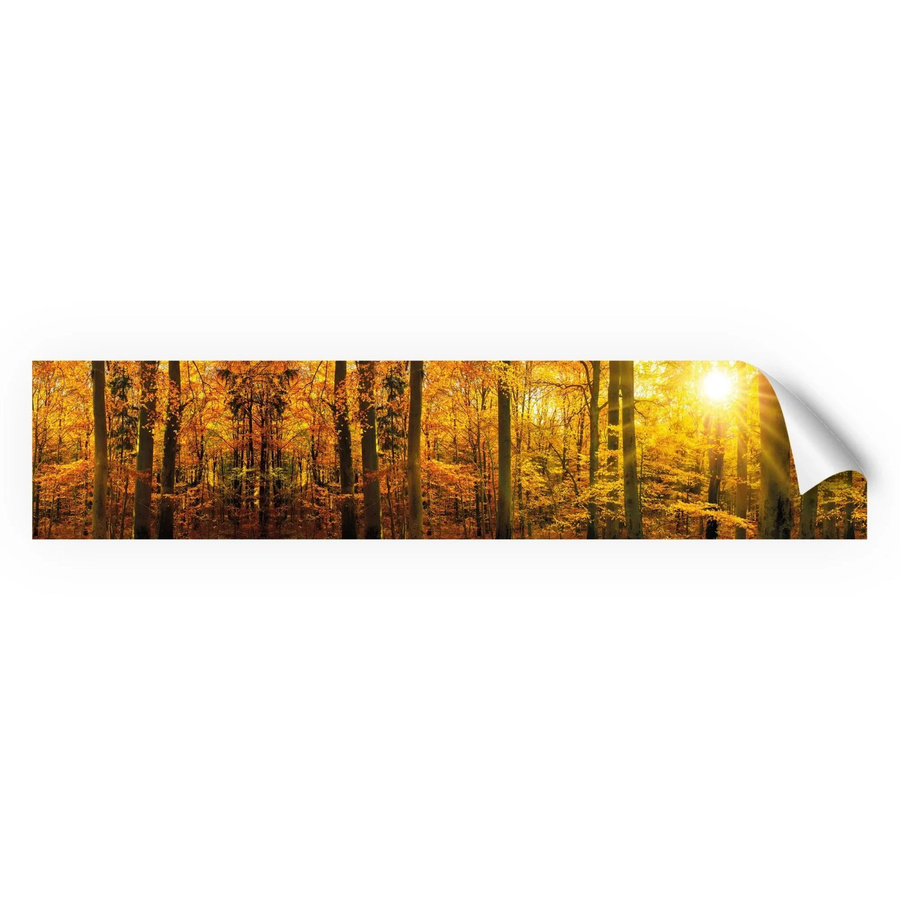 Myspotti Küchenrückwandfolie Herbstwald Selbstklebend, Multicolor, B: 280 cm, H: 60 cm - Bild 2
