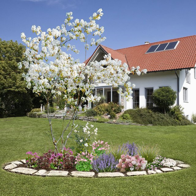Mein schöner Garten Shop Hortensien Pflanzen-Set, 18 buntfarbige Ziersträucher für den Außenbereich - Bild 1