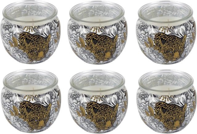 HS Candle Duftkerzen Motiv 6er Pack Anti Tabak Ginger Lime in Grün und Multicolour - Bild 1