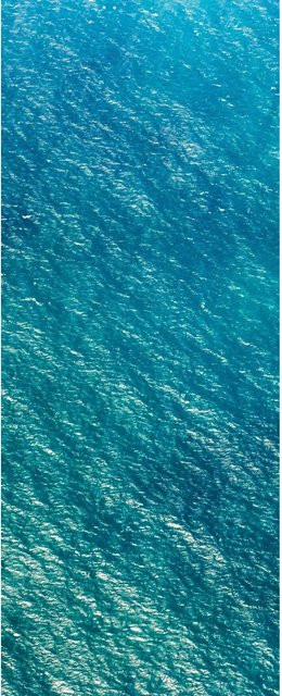 Komar Fototapete Vlies Blaupause Blau B/H: 100 x 250 cm - Bild 1