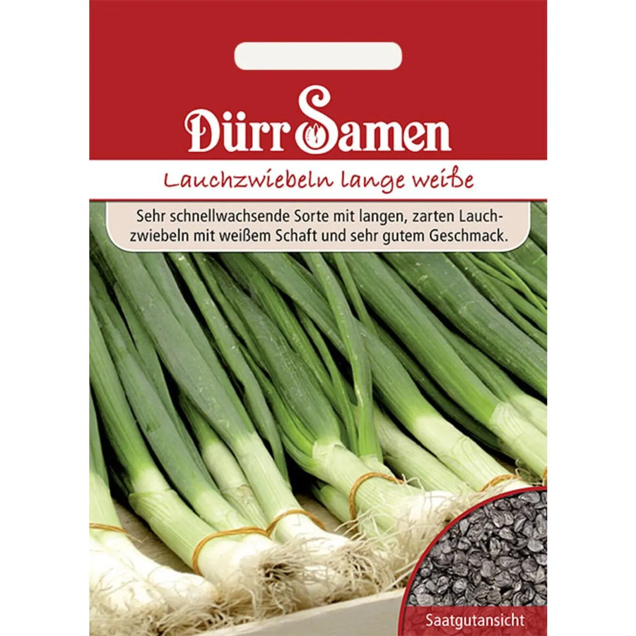 Dürr Lauchzwiebeln Kaigaroo Lange Weiße Saatgut 400 g - Bild 2
