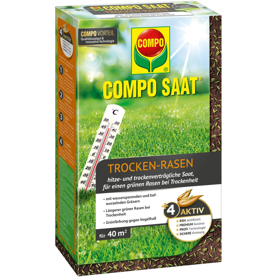 Compo SAAT Trocken-Rasen Saatgut für die Rasenneuanlage, 1 kg - Bild 2