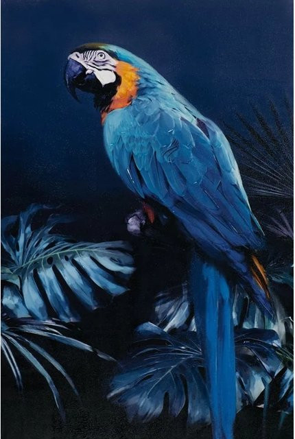 Art Universe Leinwandbild Papagei in Blau, modernes Wandbild mit Tiermotiv, Breite: 80 cm, Höhe: 120 cm - Bild 1