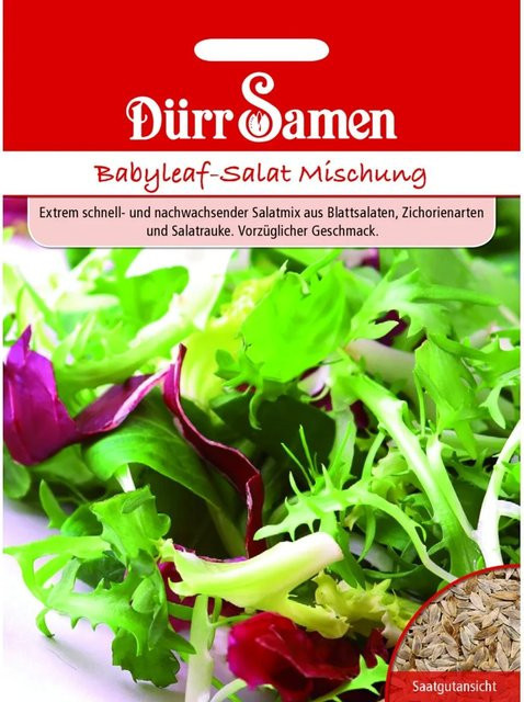 Dürr Babyleaf-Salat Mischung Saatgut für Balkon und Freiland, 500 g - Bild 1