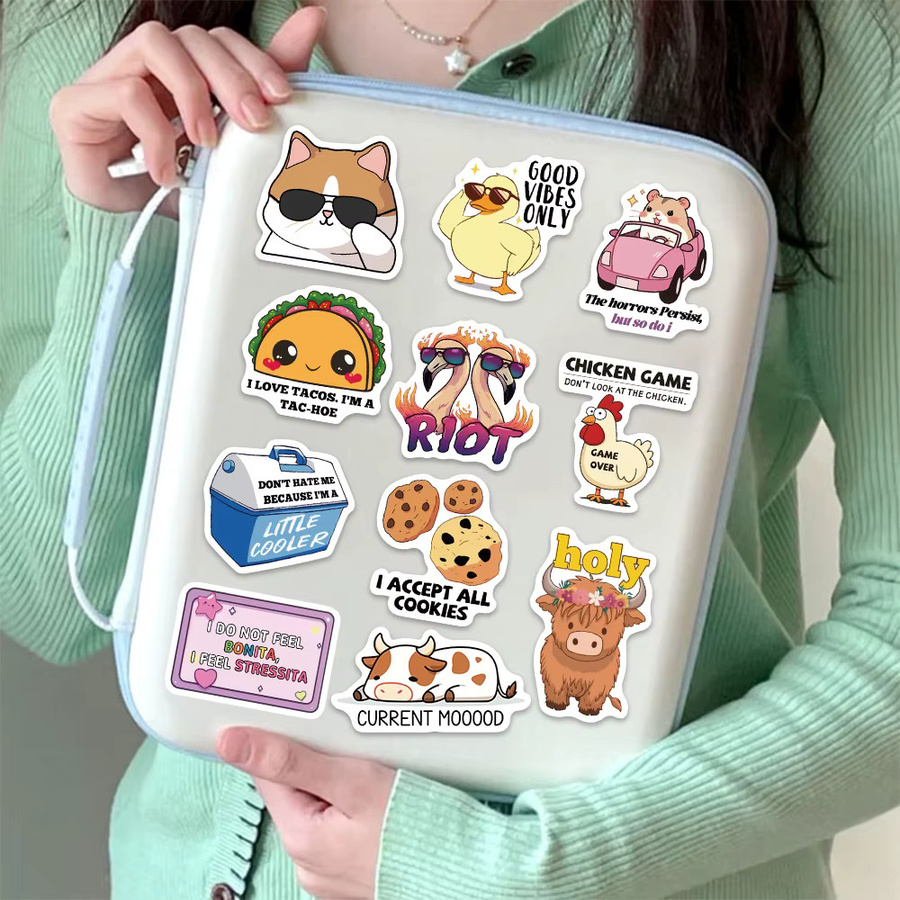 55 Stück Delulu Solulu Cartoon Aufkleber in Multicolour zur Dekoration von Handyhüllen, Laptops und Gepäck - Bild 3