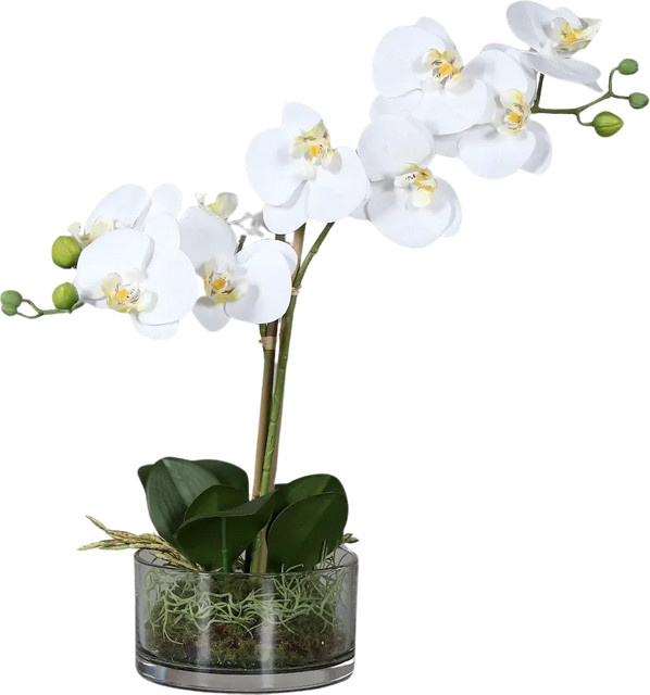 Künstliche Orchidee Saitama von Aplanta in Glasschale, Höhe: 40 cm - Bild 1