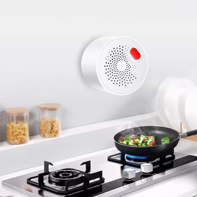 DYGSM Tuya Zigbee Gasdetektor zur intelligenten Gasüberwachung in Echtzeit, kompatibel mit Alexa und Google Home, Weiß - Bild 2