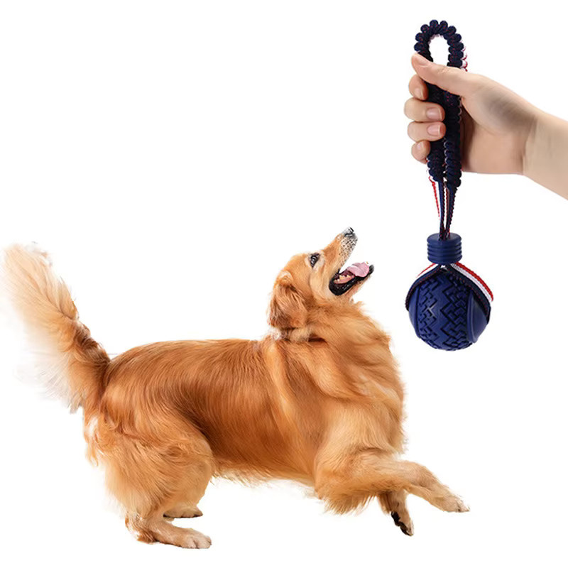 pawstrip Hundeball-Spielzeug mit Seil, interaktive Zahnreinigungsbälle - Bild 2