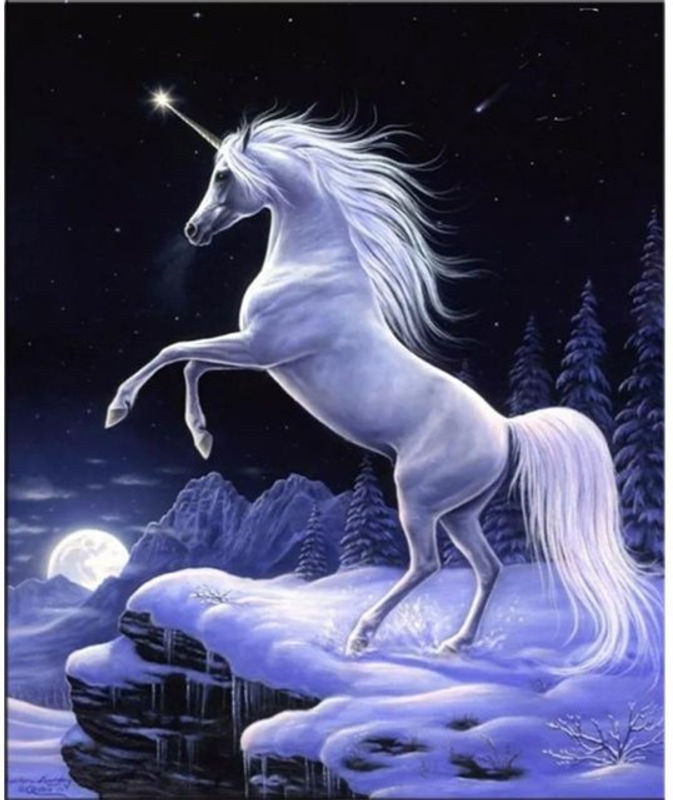 FIYO Diamond Painting Set Einhorn in Silber und Weiß, Mosaik Stickerei Wandbild zur Dekoration, B x H: 20 x 30 cm - Bild 1