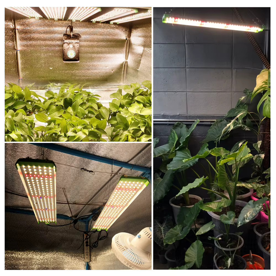 GRAXGROW Quantum Board Strip LED-Wachstumslampe Vollspektrum Pflanzen-Zusatzlicht 150 W Weiß - Bild 4
