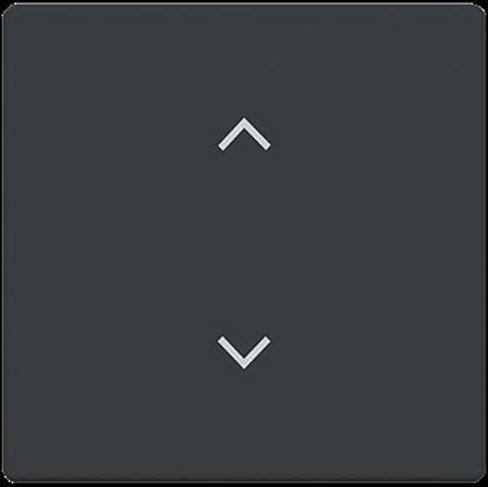 Busch-Jaeger 2CKA006220A0985 - Bild 1