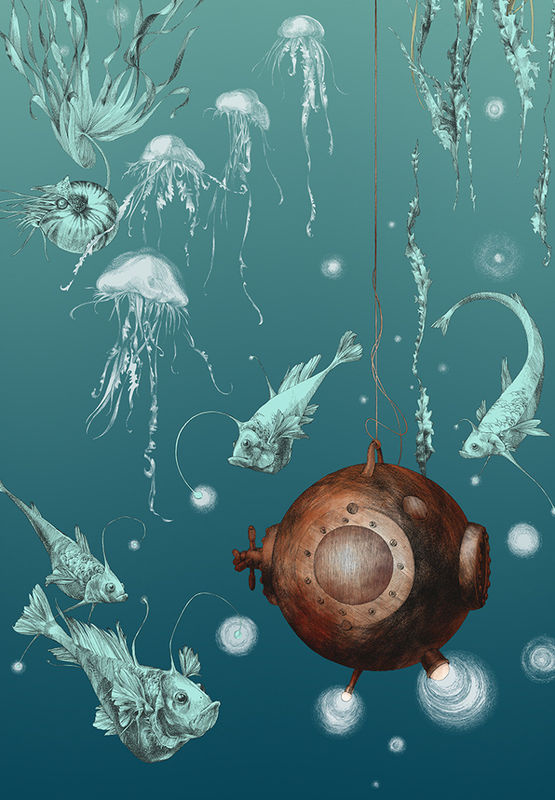 Edmond Petit Meeres-Tapete Nautilus droit in Turquoise aus Vlies - Bild 2