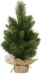 Everlands Weihnachtsbaum Edmonton Spruce Tischmodell in Grün, Höhe: 60 cm, Breite: 38 cm, Tiefe: 38 cm - Bild 1