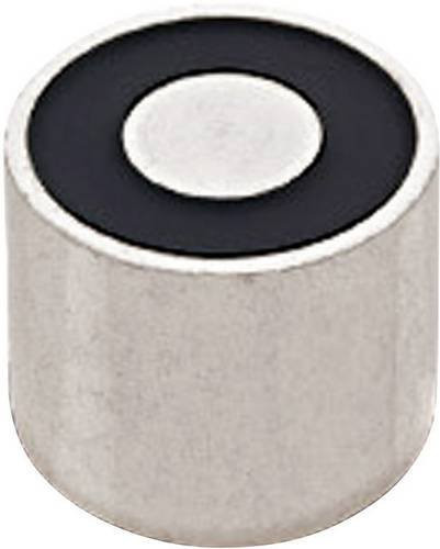 RED MAGNETICS Elektromagnet ITS-PE2025-12VDC in Silber, 45 N, 12 V/DC, 3.8W (stromloser Zustand) - Bild 1