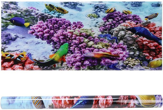 Dekoratives Landschafts-Hintergrundposter von OutsideWorld für dein Aquarium, PVC-Aufkleber in Grau und Multicolour, Breite: 61 cm, Höhe: 41 cm - Bild 1
