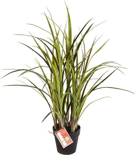 Aplanta Künstliches Gras Oceane Höhe: 75 cm - Bild 1