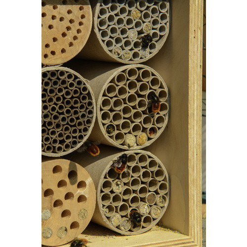 Dobar Profi-Insektenhotel für Wildbienen aus Birke, Farbe: beige, H x B x T: 23 x 12,5 x 16 cm - Bild 3