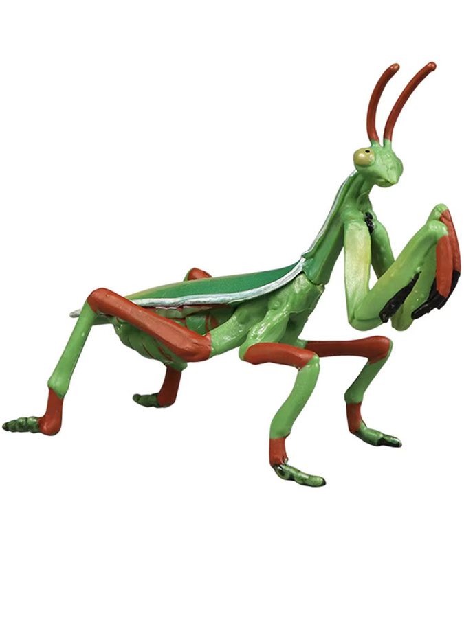 XIALIBAOMOWAN Insekten-Tiermodelle, Miniatur-Mantis-Figuren, Lernspielzeug - Bild 2