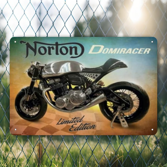 Domiracer Metall-Wandkunst Motorrad-Design in Retro-Optik, Blechschild Weiß/Mehrfarbig, B/H: 20 x 20 cm - Bild 1