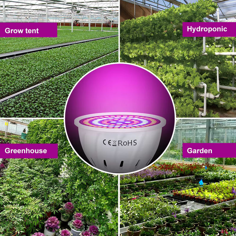LED Vollspektrum Pflanzenlampe für Indoor Growbox und Blumen, E27/E26/E14/GU10/MR16, Weiß - Bild 6