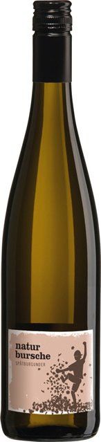 Landgraf Rotwein Pinot Noir 2023, Rheinhessen, trocken, 0,75 l - Bild 1