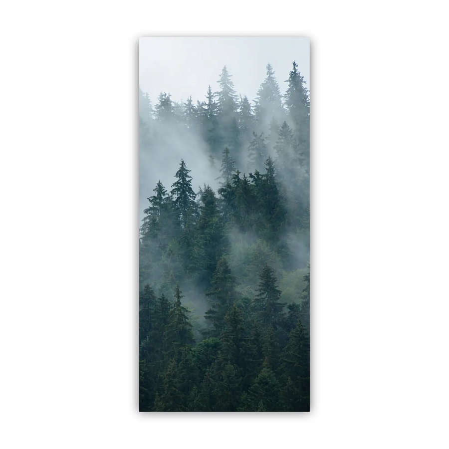 Walllux Duschrückwand Tannenwald in Holzoptik aus Alu-Verbund, Farbe: Grün, B/H: 90 x 200 cm, Stärke: 3 mm - Bild 1