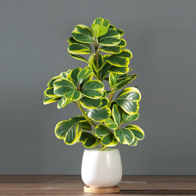 Kmitang Künstlicher Ficus-Baum in Grün, Tropische Geigenfeige als Dekoration für Schreibtisch und Hochzeit, Höhe: 37 cm, Breite: 20 cm - Bild 1
