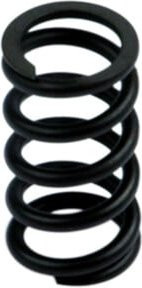 Riegler Feder SYNTESI Druckbegrenzer BG 2, 0 - 8 bar in Schwarz aus Stahl - Bild 1