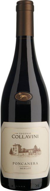 Collavini Merlot Rotwein, 2022, Friaul, trocken, 0,75 l - Bild 1