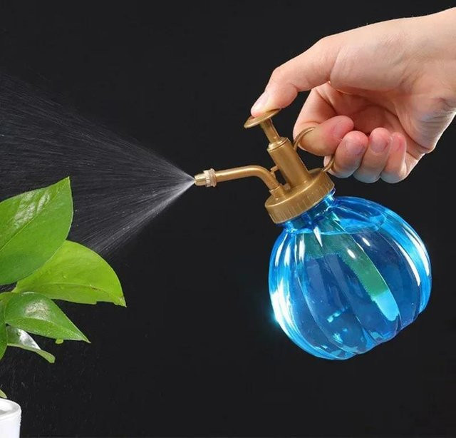 Pflanzen-Sprühflasche für Sukkulenten und Gartenpflanzen, 350 ml, Blau - Bild 1