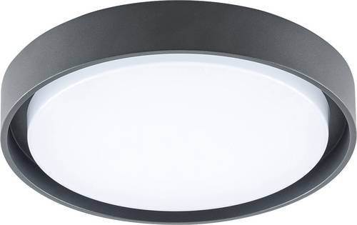 EVN LED-Deckenleuchte DAR54141502 in Anthrazit mit 14W - Bild 1