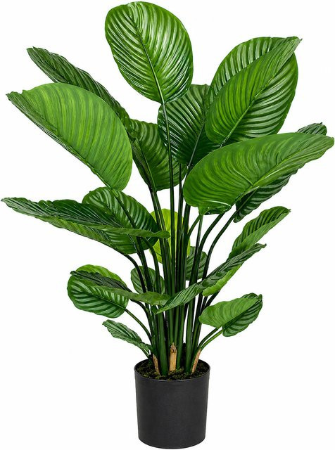 Künstliche Calathea Pflanze von Aplanta in Grün, Höhe: 80 cm - Bild 1