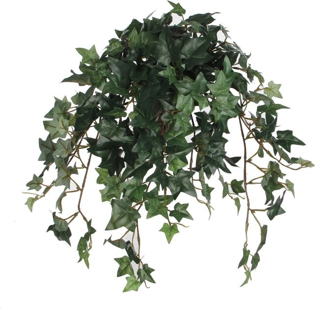 Mica Decorations Kunstpflanze Efeu in Grün, B/T/H: 45 x 25 x 25 cm - Bild 1