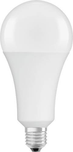 OSRAM HOMELIGHTING LED E27 Glühbirne Warmweiß, 24.9W entspricht 200W, A60 Kolbenform, Durchmesser: 9.5 cm, Höhe: 17.9 cm - Bild 1