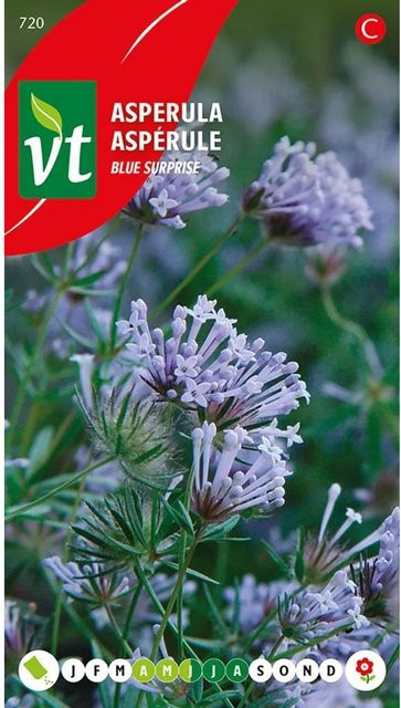 Arborix Asperula Blue Surprise Blumensamen für den Garten mit blauen Blüten, 0,5 g - Bild 1