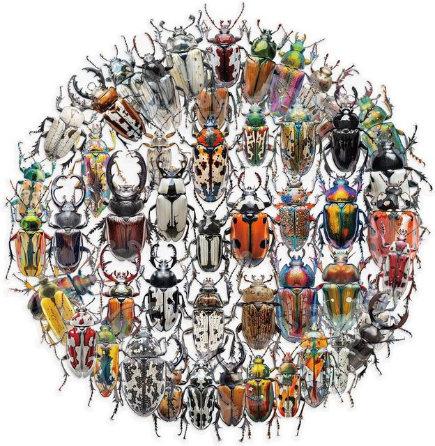 50 Stück Niedliche Cartoon Insekten und Käfer Aufkleber von Binchi Outdoor Product in Multicolour für DIY Dekoration von Laptop, Handyhülle und Spielzeug - Bild 1