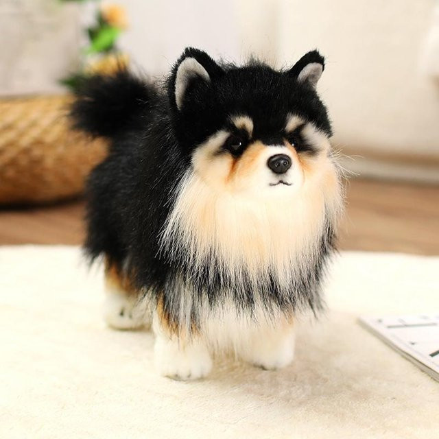 Schwarzer Zwergspitz Hund Plüschtier, Schwarz, 25cm - Bild 1