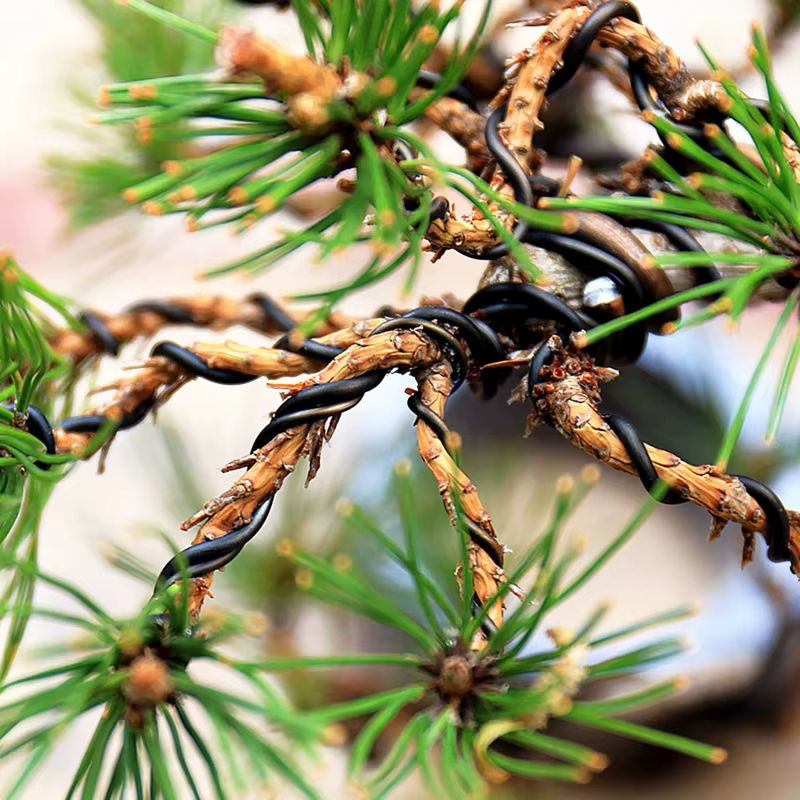 Schwarzer Aluminiumdraht für Bonsai und Pflanzen zur Befestigung und zum Styling - Bild 3