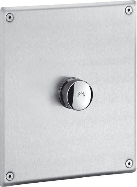 Delabie TEMPOFLUX Druckspüler WC G3/4B UP mit Edelstahl-Betätigungsplatte in Silber, B/H: 22,0 x 17,0 cm - Bild 1