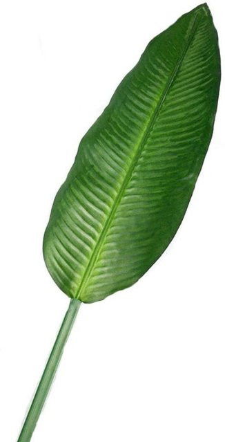 Künstliche Bananenblätter von Liingyimn in Grün, große Palmenblätter für die Innen- und Außendekoration, Höhe: 85 cm - Bild 1