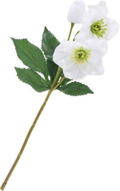 Künstliche Helleborus Kunstblume in Weiß mit Drahtstiel - Bild 1