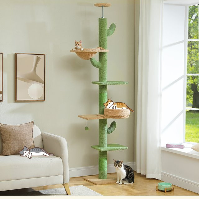 PEQULTI Höhenverstellbarer Kaktus-Katzenbaum in Grün mit Hängematte und integriertem Spielzeug - Bild 1