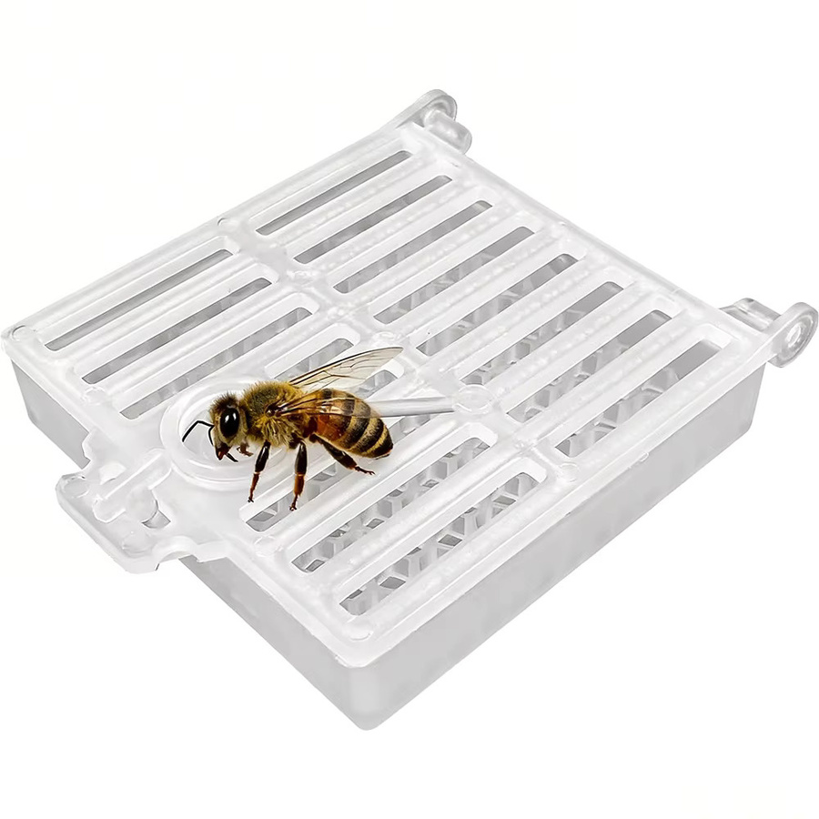 Quadratischer Bienenköniginnen-Käfig von Adhere To Fly in Weiß und Transparent für den Postversand von Bienenköniginnen und als Imkerwerkzeug - Bild 3