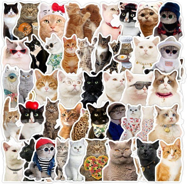 50 Stück wasserfeste Katzen-Meme-Graffiti-Aufkleber aus Vinyl in Multicolor von Anime Worlds Store für Computer und Trinkflaschen - Bild 1